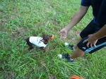 2011_08070041-2.jpg