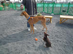 2012_03190032-2.jpg
