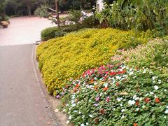 入口の花壇♪