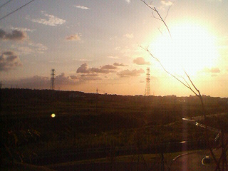 夕日になる直前。夕方五時前。