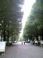 青山キャンパスｖｖ