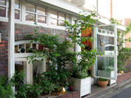 Cafe Daisy