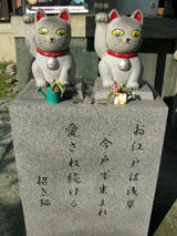 またまたぬこ様ｖｖ