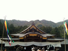弥彦神社でお参り