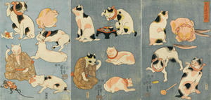 猫さんｖｖ