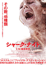 サメーーーー！