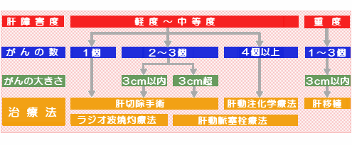 肝臓がん治療指針