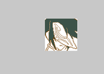 fa119233.png