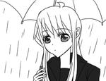 koneko01.jpg