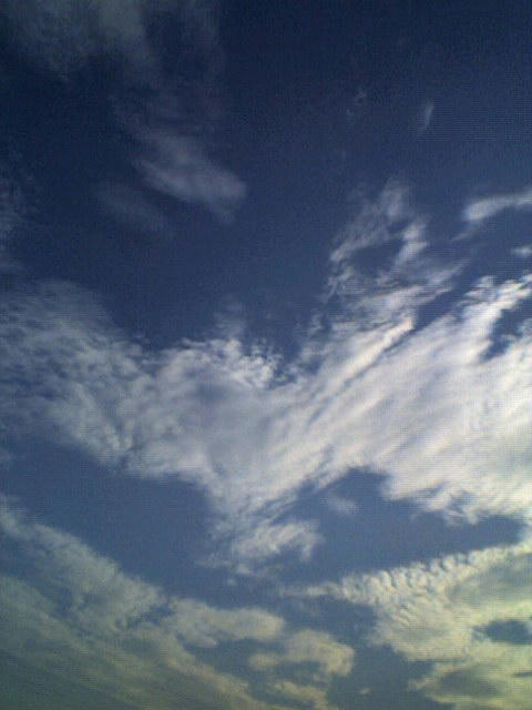秋空？