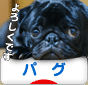 pug88_31.gif