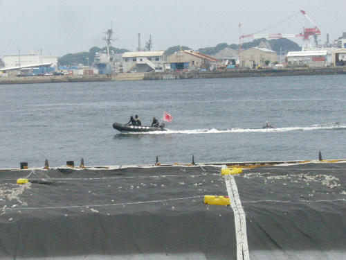 b098e04d.jpg