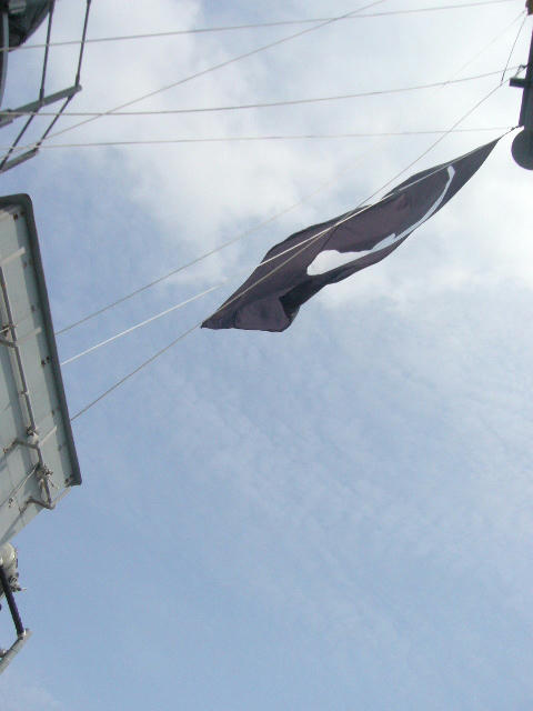 8f392e37.jpg