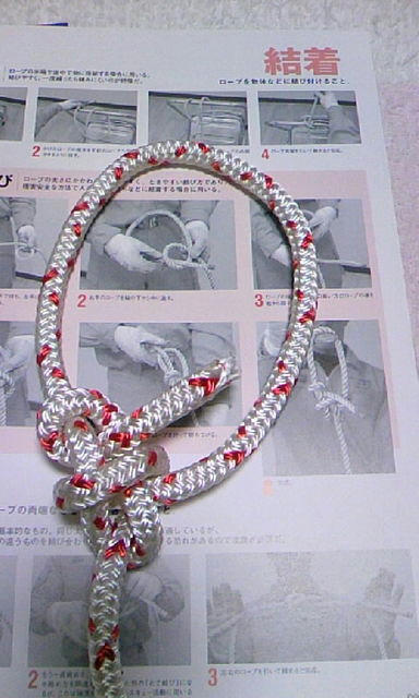 943505410_120.jpg