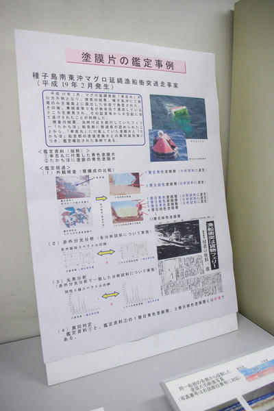 IMGP33251.jpg