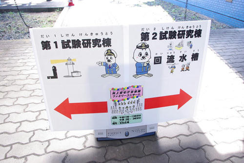 IMGP33311.jpg