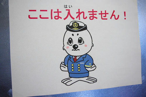 IMGP33221.jpg