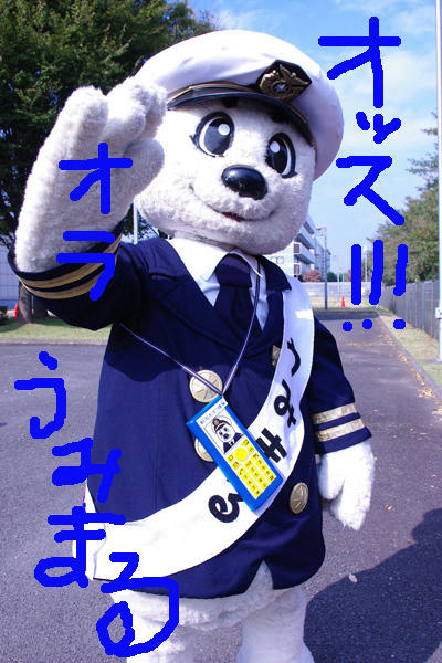 IMGP336211.jpg