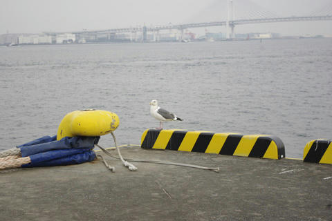 20090118107.jpg