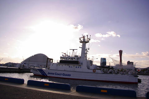 8dec016a.jpg