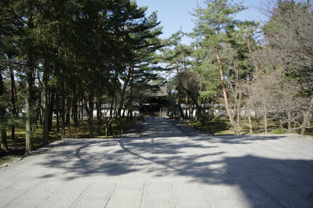 60473526.jpg