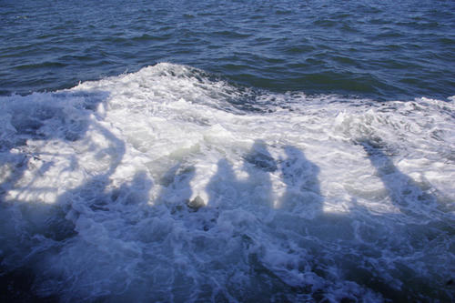 20090315071.jpg