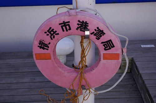20090315024.jpg