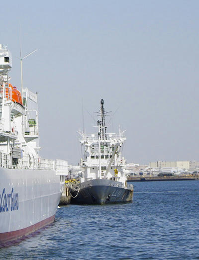 20090315030-1.jpg
