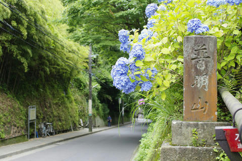 _IGP9465.JPG