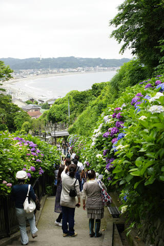 _IGP9470.JPG