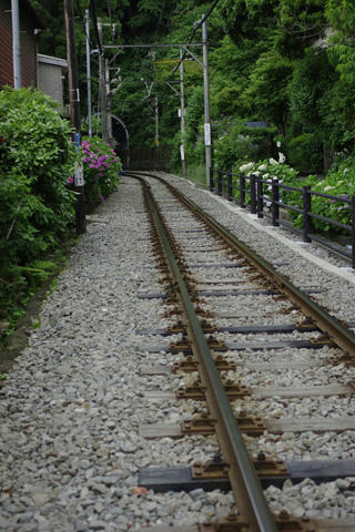 _IGP9486.JPG