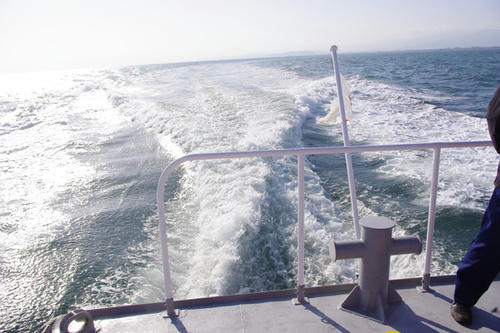 20090315064.jpg