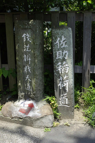_IGP9555.JPG