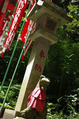 _IGP9571.JPG