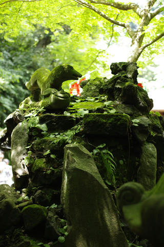 _IGP9577.JPG
