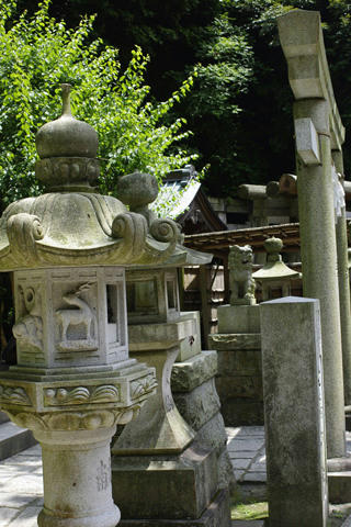 _IGP9592.JPG