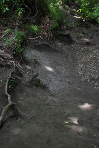 _IGP9607.JPG