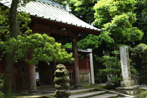 _IGP9610.JPG