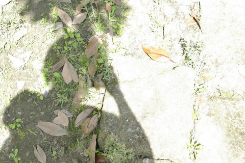 _IGP9628.JPG