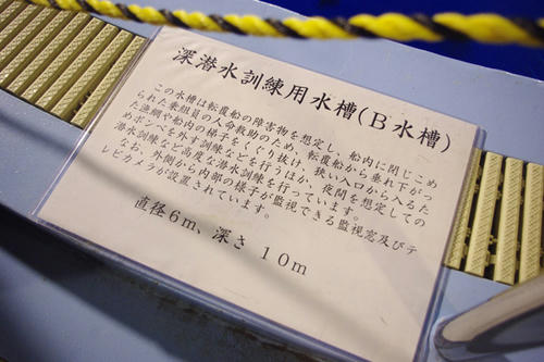 _IGP12351.jpg