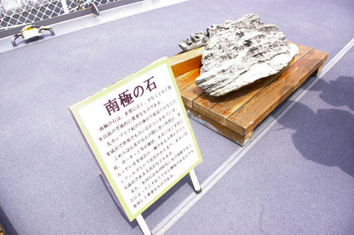 _IGP1319.JPG
