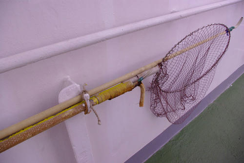 _IGP0443.JPG