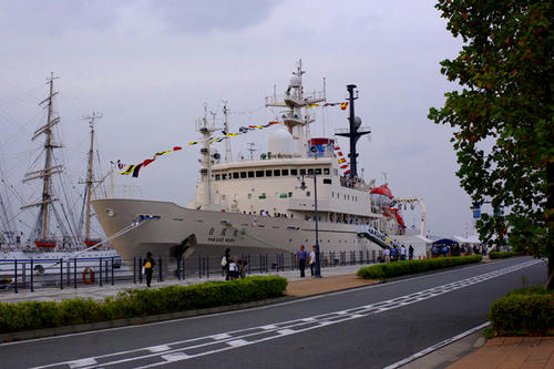 _IGP3494.JPG