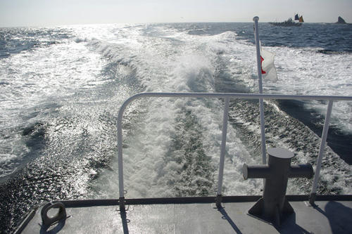 _IGP4077.JPG