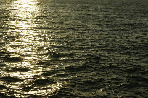 _IGP4115.JPG