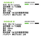 ICON_rogue02.jpg