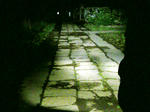 SN3D0214.jpg