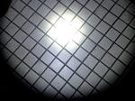 SN3D0447.jpg