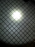SN3D07450003.jpg