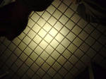 Zebralight_sc51fw_mp1_005.jpg